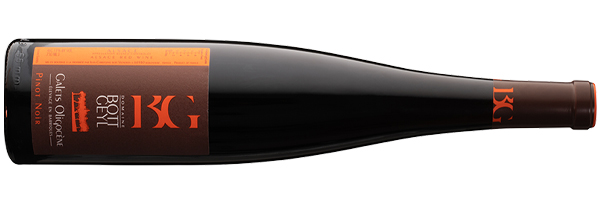 WineManual Bott-Geyl, Pinot Noir Galets Oligocène 2012 (Alsace AOP)